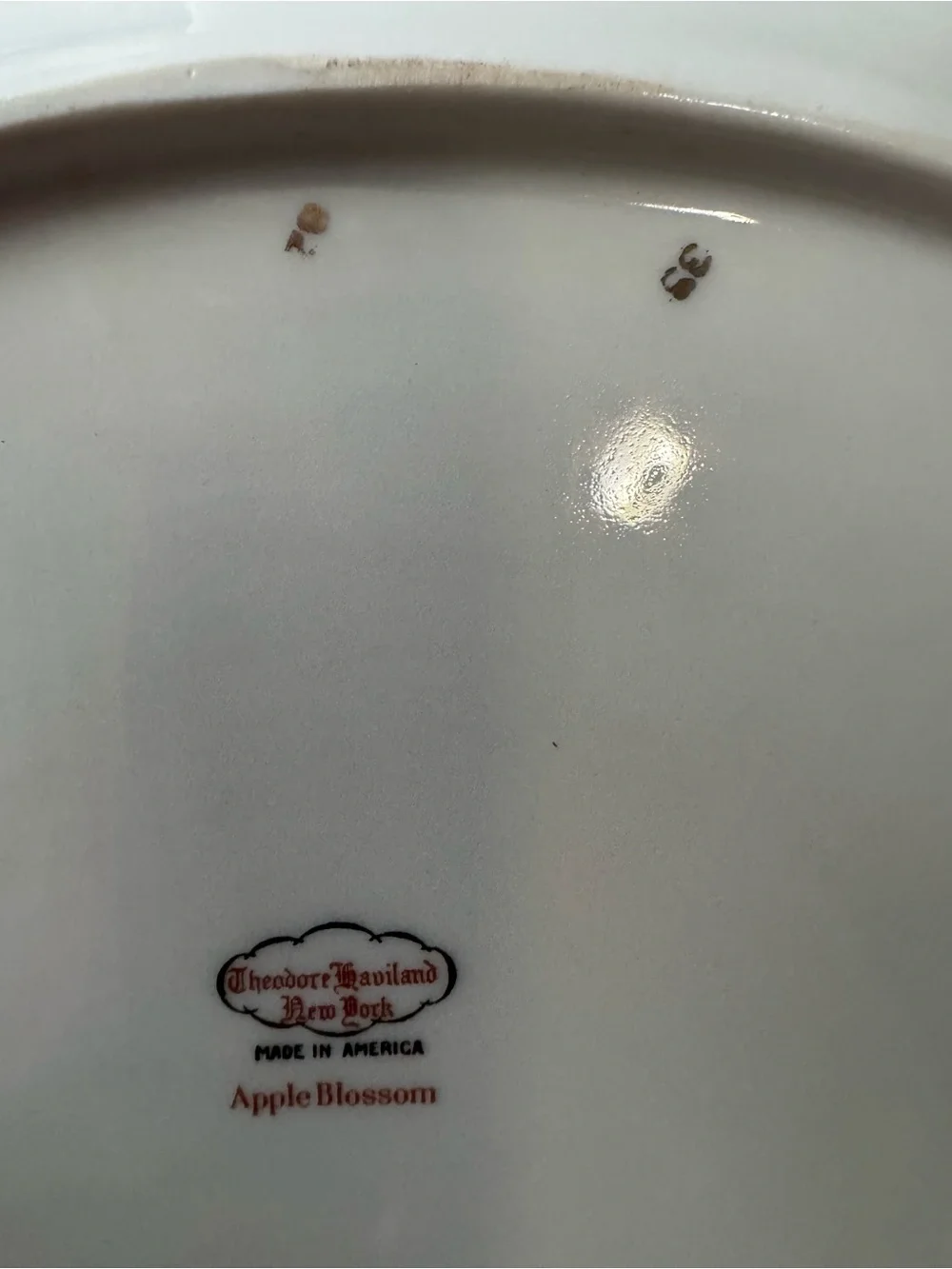 Theodore Haviland New York Apple Blossom 13” Oval Serving Platter